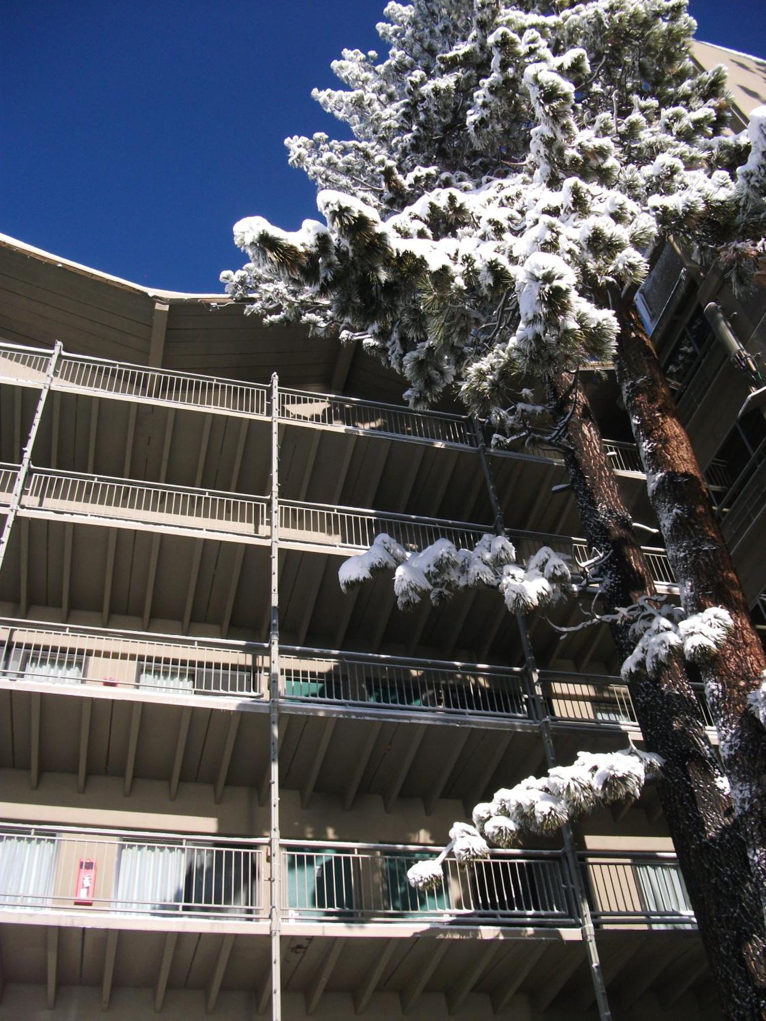 Pepper Tree Inn Tahoe City Buitenkant foto