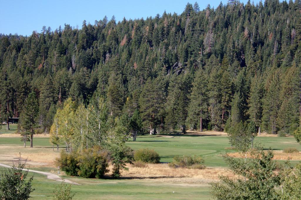 Pepper Tree Inn Tahoe City Buitenkant foto